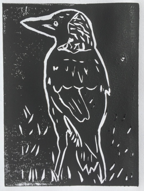 Magpie at Oyster Point - black ink - linocut